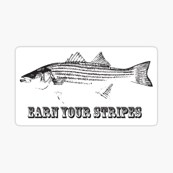 Striper Fishing Merch & Gifts for Sale