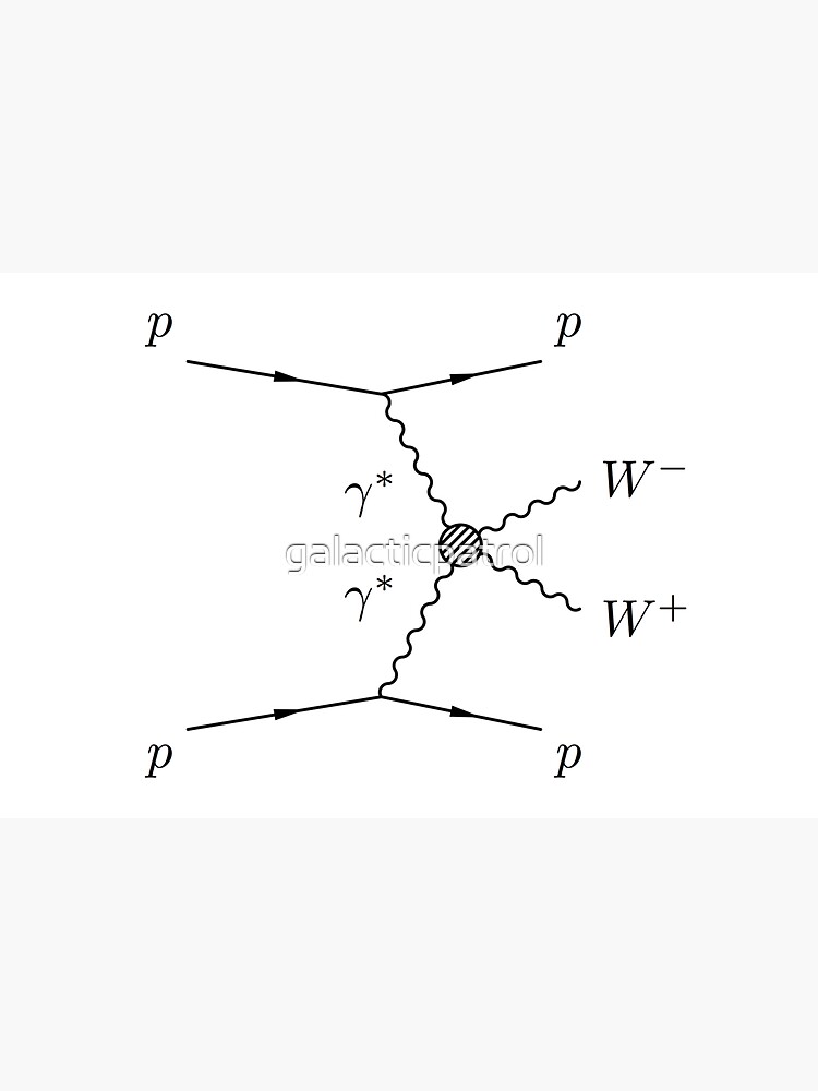 feynman diagrams