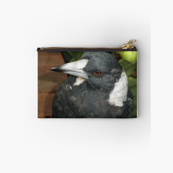 Item preview, Beautiful Bird, Botanic Gardens, Canberra, Australia. designed and sold by kaysharp.