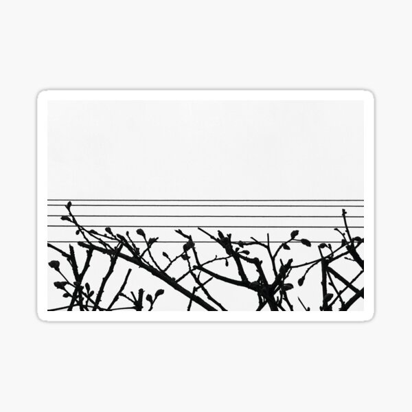 Arboressence#11 Sticker