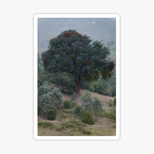 Item preview, Mistletoe in the fog designed and sold by Adam Le Good.
