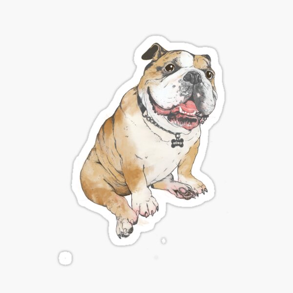bulldog Sticker