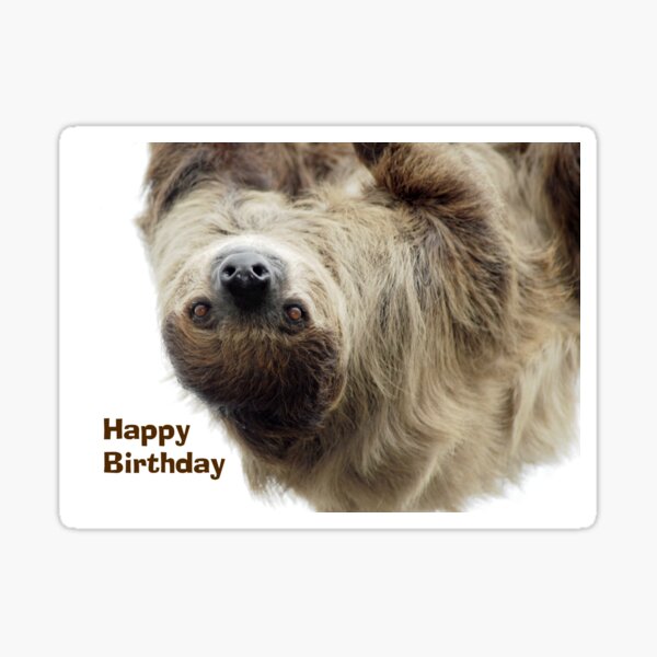 Sloth Birthday Card Sticker
