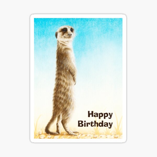 Meerkat Birthday Card Sticker