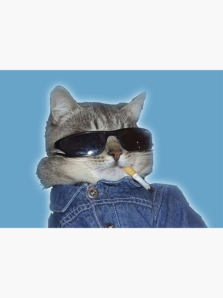 cat with sunglasses and cigarette cat of smonk cig