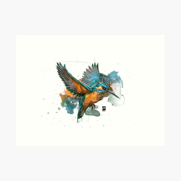 kingfisher sketch psdelux Art Print