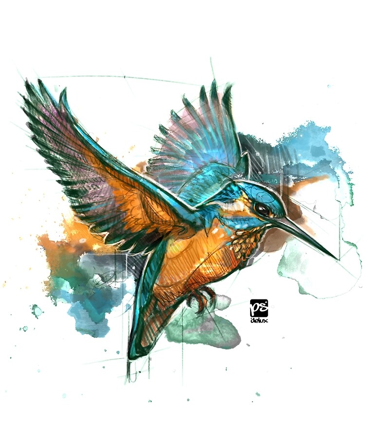 Learn How to Draw a Kingfisher (Birds) Step by Step : Drawing Tutorials