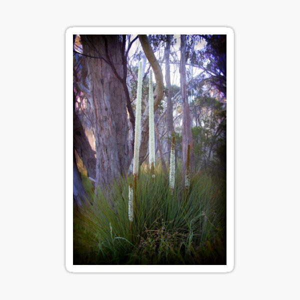 Item preview, ~ Bush Magic ~ designed and sold by Leeo.