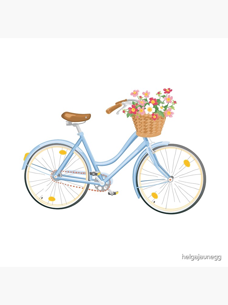 womens bicycle with basket