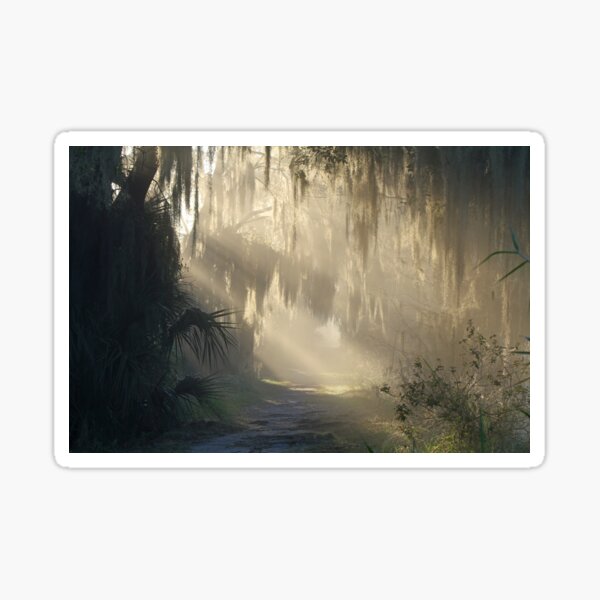 Item preview, A Ray of Florida Sunshine !! designed and sold by Anthony Goldman.