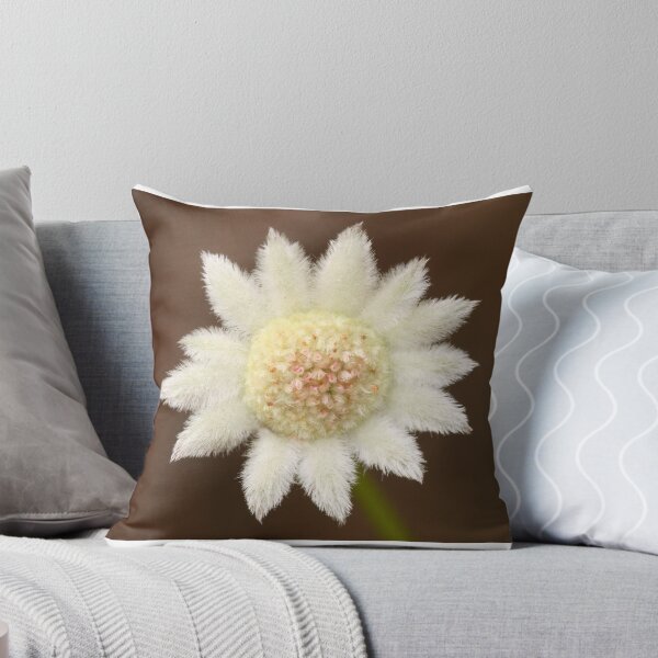 Item preview, Actinotus minor .. The Lesser Flannel Flower   designed and sold by Michael Matthews.