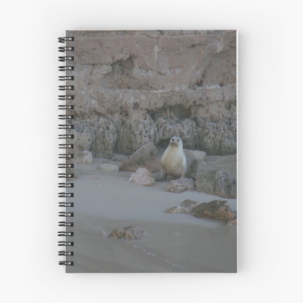 Item preview, Sea-Lions. Eyre Peninsular, S.A. designed and sold by elphonline.