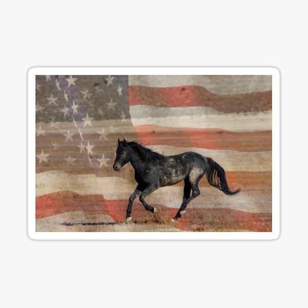 Freedom Run Sticker