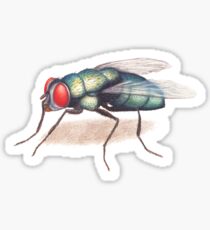 The Fly Sticker