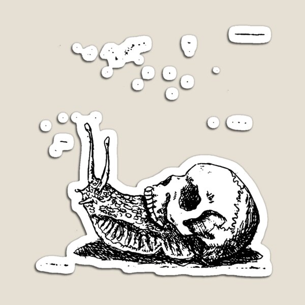 Skull Snail Magnet