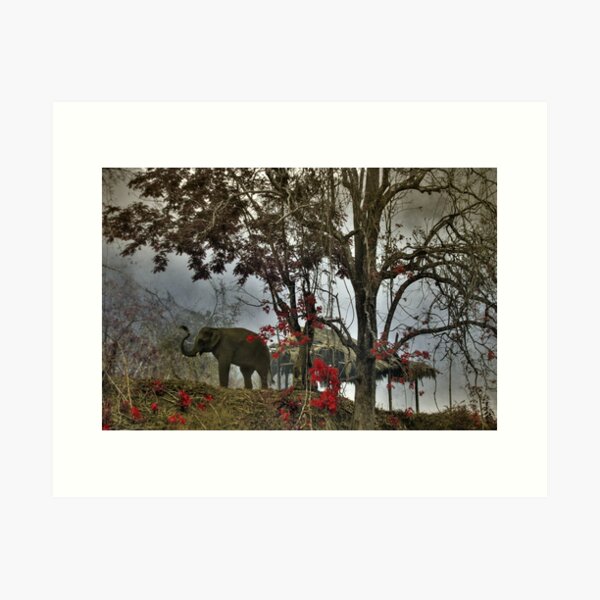 Item preview, Elephants in north Thailand designed and sold by laurentlesax.