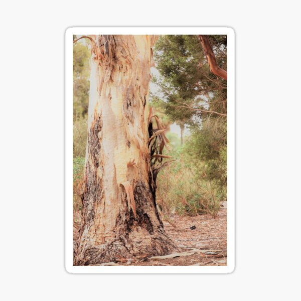 Item preview, Losing the Bark designed and sold by imaginethis.