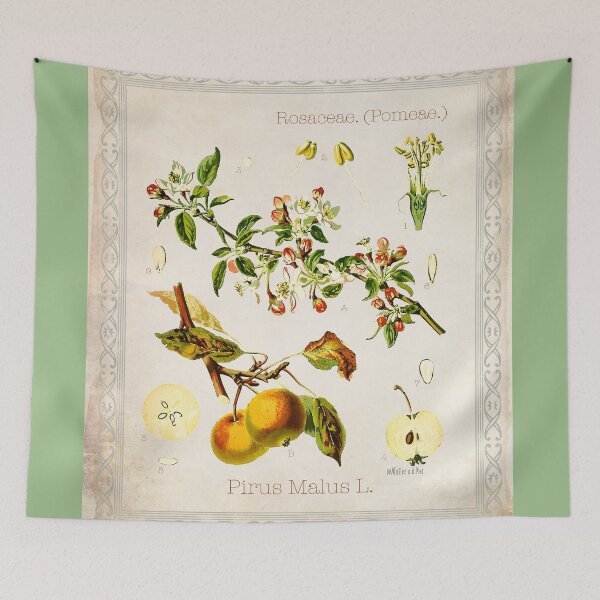 Item preview, Pirus Malus designed and sold by Jean Plout.