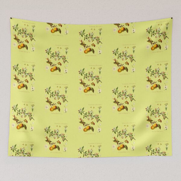 Item preview, Pirus Malus designed and sold by Jean Plout.