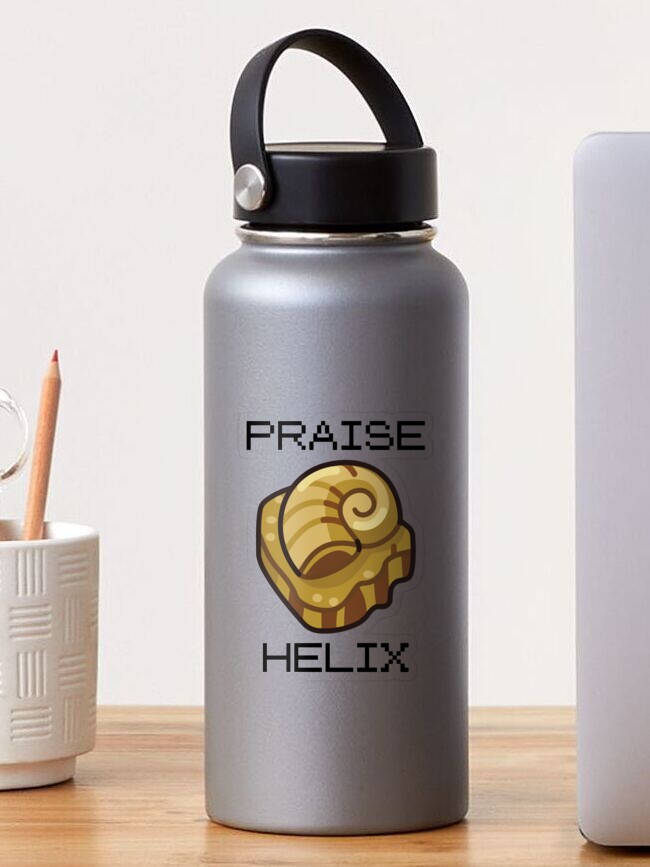 helix shaker bottle noel｜TikTok Search