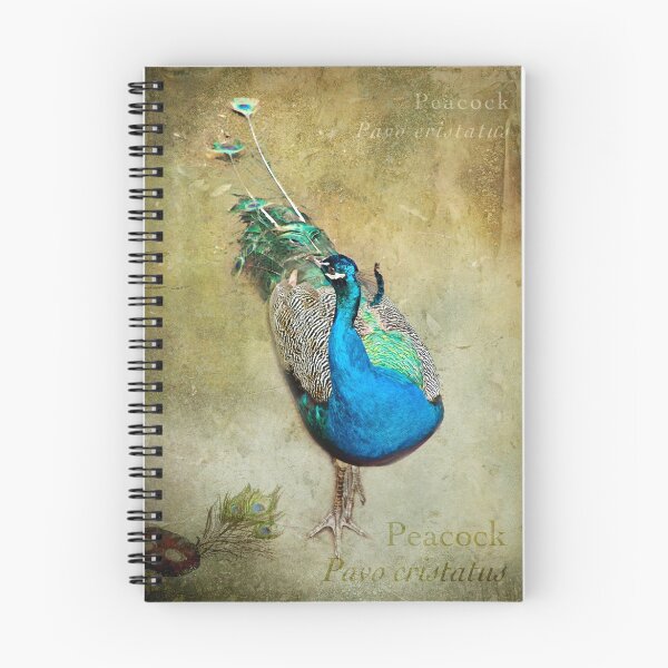 Item preview, All dressed up and nowhere to go designed and sold by Trish Hart.