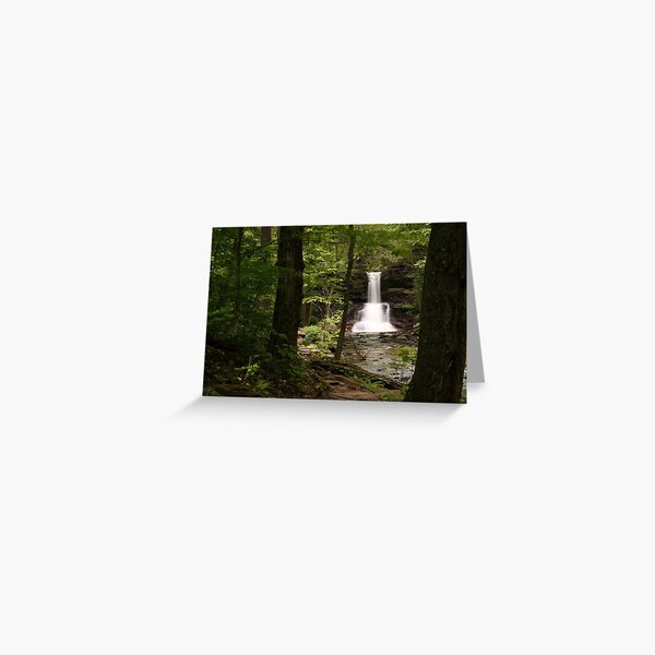Sheldon Reynolds Waterfalls-Ricketts Glen State Park Greeting Card