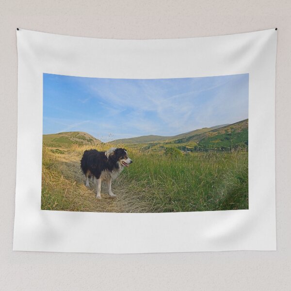 Item preview, Summer's coming. designed and sold by Michael Haslam.