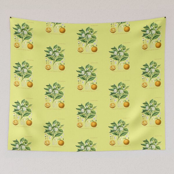 Item preview, Citrus Vularis Risso designed and sold by Jean Plout.