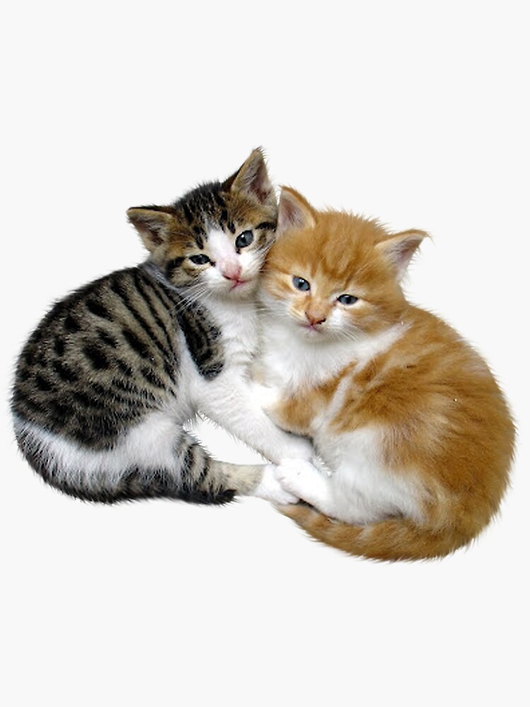 Pegatina for Sale con la obra «¡Gatitos!» de Vitalia | Redbubble