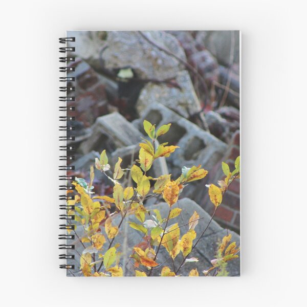 Item preview, The Juxtaposition of Life and Death designed and sold by Gilda Axelrod.