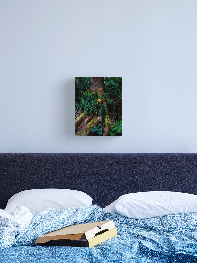 Thumbnail 2 of 3, Canvas Print, Kona Cloud Forest Sanctuary designed and sold by darren-j-mcleod.