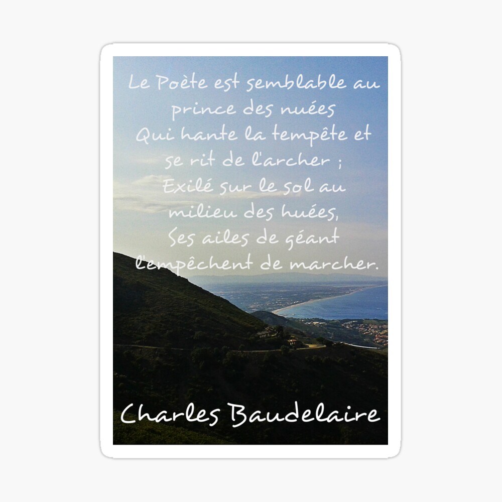 L Albatros Charles Baudelaire Greeting Card By Claramb Redbubble