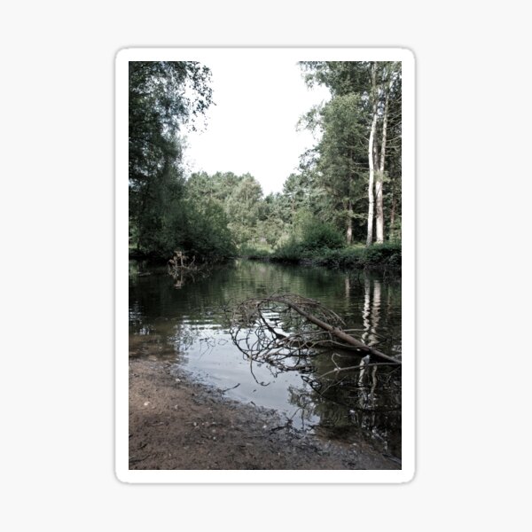Waterside Sticker