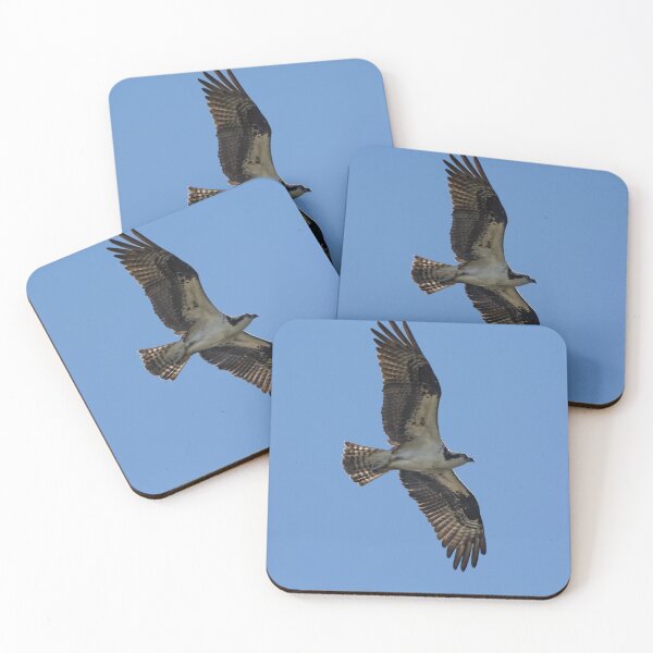Item preview, Osprey soaring designed and sold by Zina Stromberg.