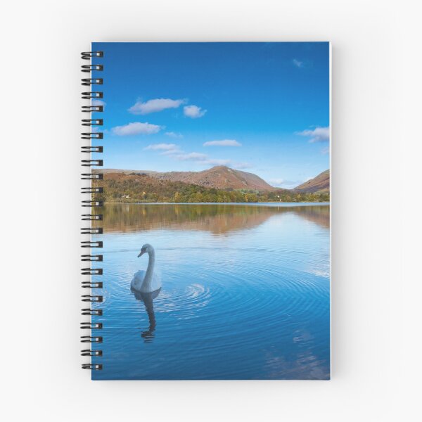 Item preview, Grasmere Water Swans, Cumbria designed and sold by JMChown.
