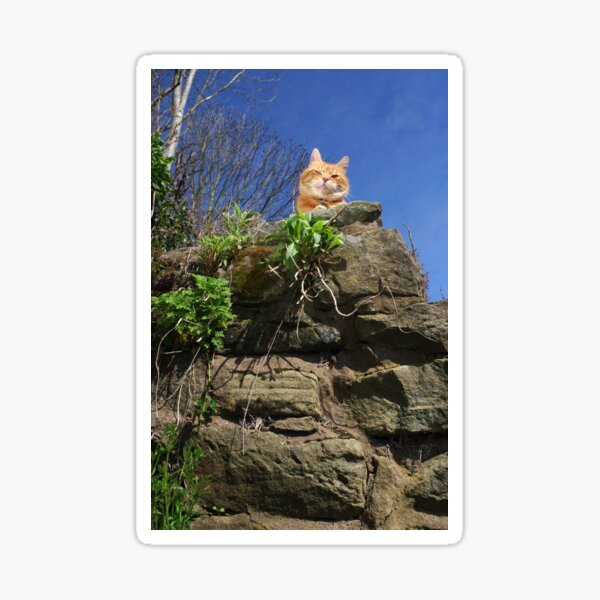 King of the castle Sticker