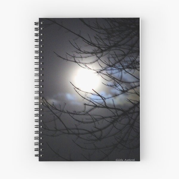 Item preview, Moonlit Night designed and sold by Gilda Axelrod.