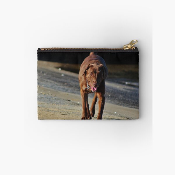 Item preview, Beau designed and sold by Gilda Axelrod.