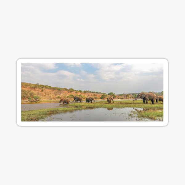 Vista previa del artículo con la obra «Elephants crossing the Chobe River», diseñado y vendido por Jensphotos.