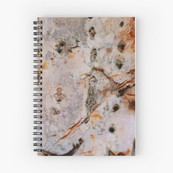 Aperçu de l'œuvre PAPER BARK créée et vendue par kazaroodie.