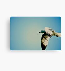Bird Canvas Print