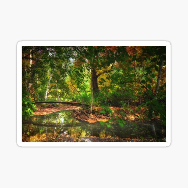 Primitive Crossing in Downtown Wellesley Sticker