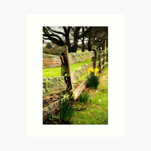 Spring is on the Way Art Print