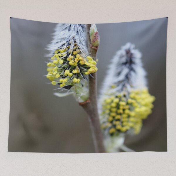Item preview, Catkins season I designed and sold by cuprum.