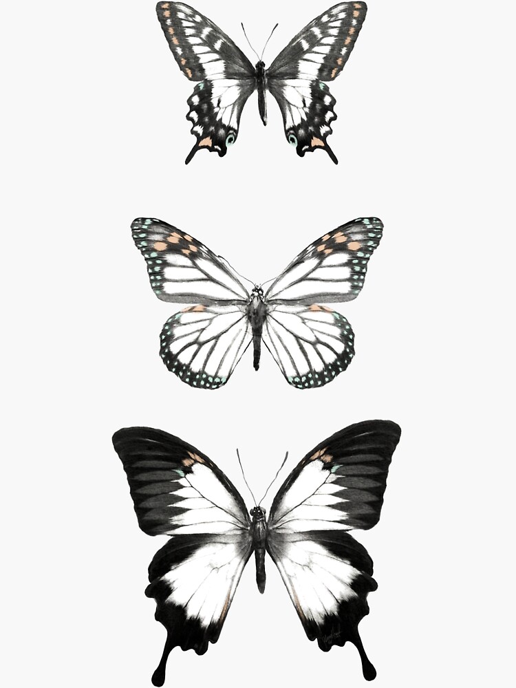 Thumbnail 3 of 3, Sticker, Butterflies // Align designed and sold by Amy Hamilton.