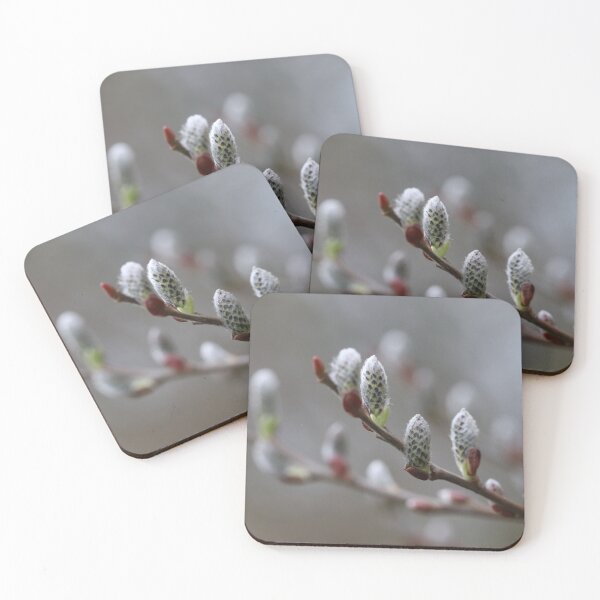 Item preview, Catkins season II designed and sold by cuprum.
