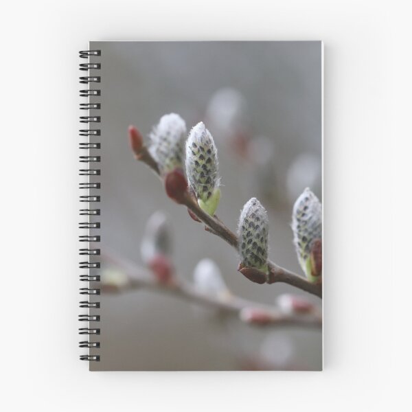 Item preview, Catkins season II designed and sold by cuprum.