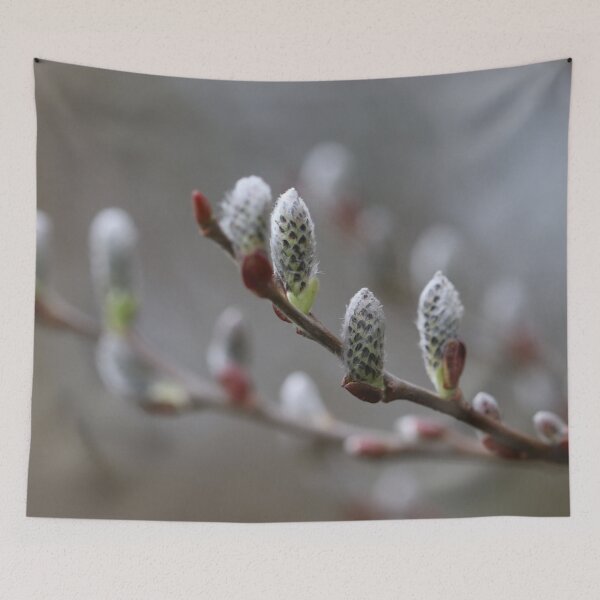 Item preview, Catkins season II designed and sold by cuprum.