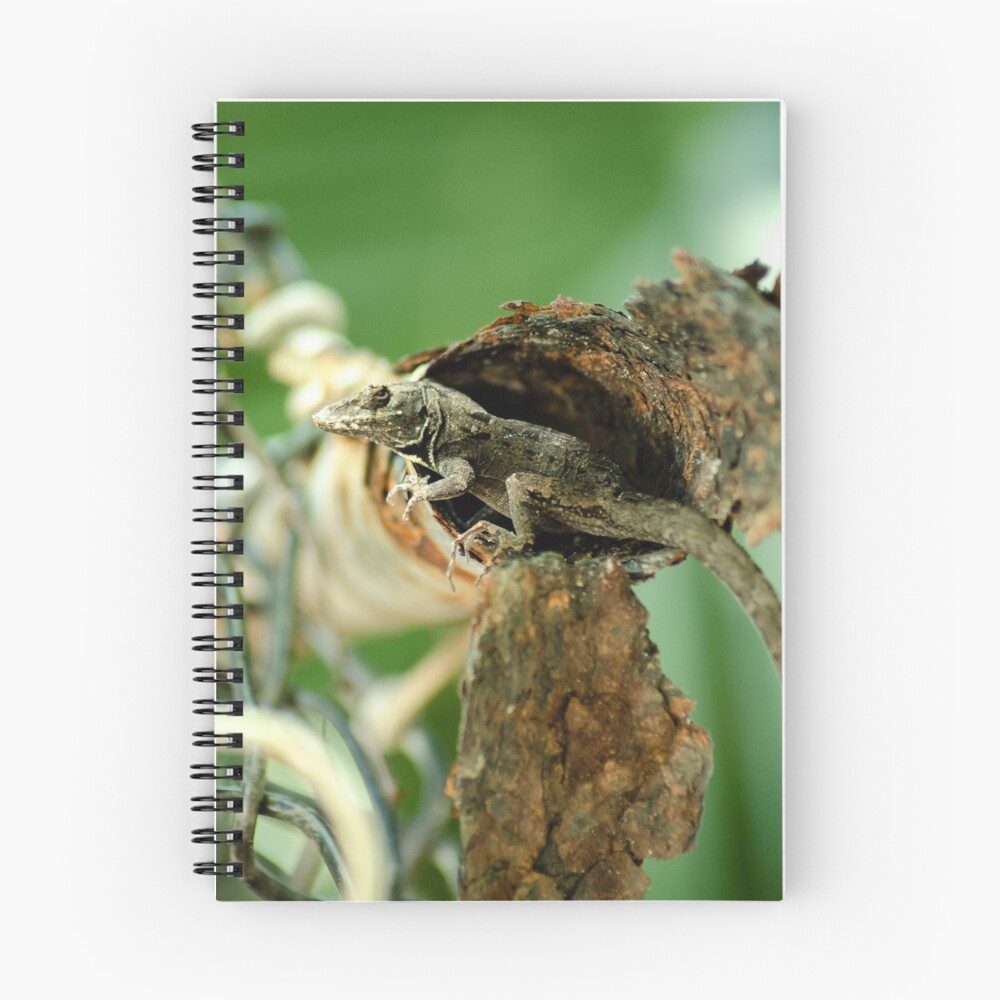 Item preview, Spiral Notebook designed and sold by Cerestes.
