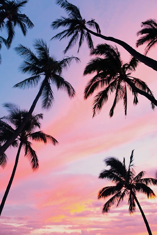 "Pink Sunset Palm Trees" By Newburyboutique | Redbubble